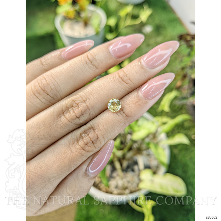 1.17 Ct. Yellow Sapphire from Ceylon (Sri Lanka)