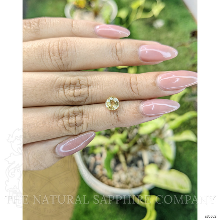 1.17 Ct. Yellow Sapphire from Ceylon (Sri Lanka)