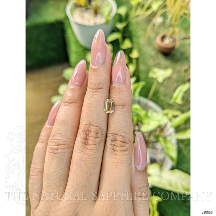 1.31 Ct. Greenish Yellow Sapphire from Ceylon (Sri Lanka)