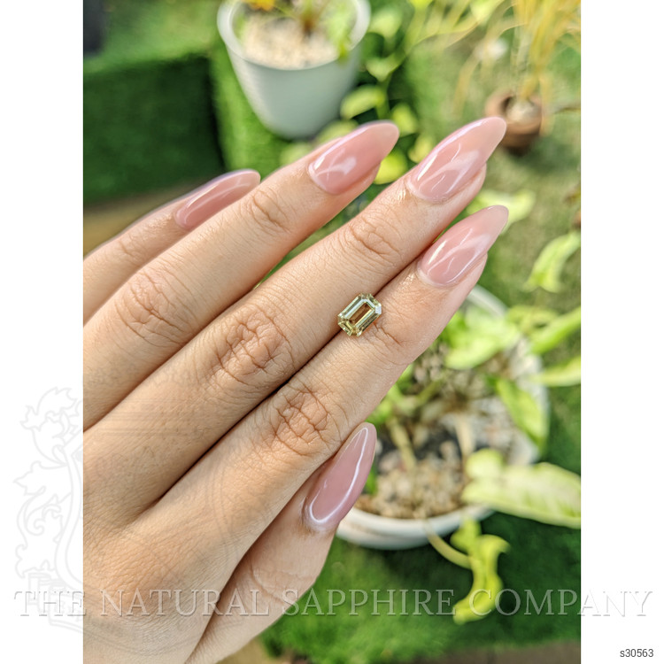 1.31 Ct. Greenish Yellow Sapphire from Ceylon (Sri Lanka)