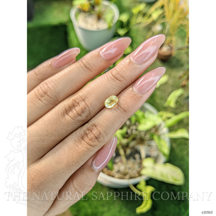 1.53 Ct. Yellow Sapphire from Ceylon (Sri Lanka)
