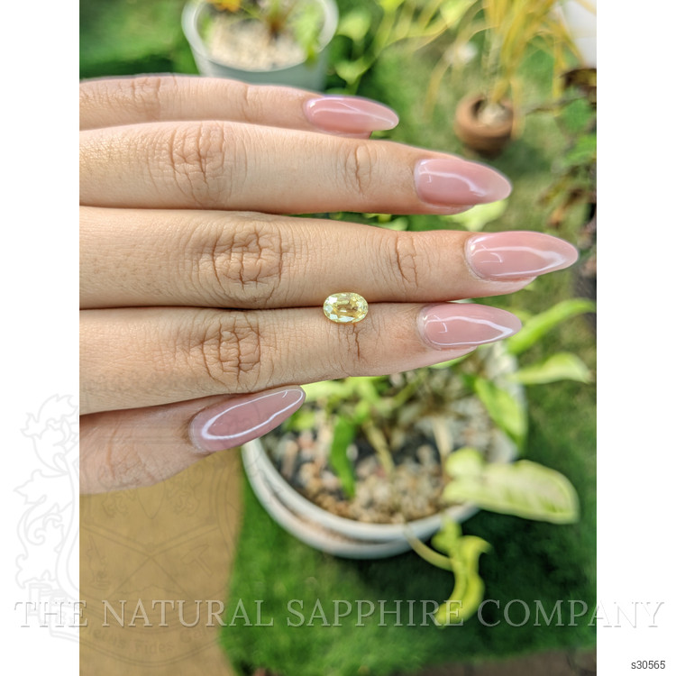 1.53 Ct. Yellow Sapphire from Ceylon (Sri Lanka)
