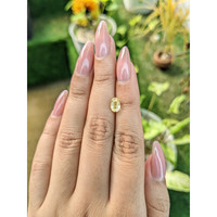 1.53 Ct. Yellow Sapphire from Ceylon (Sri Lanka) Life Style