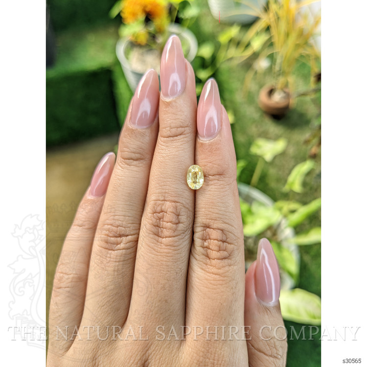 1.53 Ct. Yellow Sapphire from Ceylon (Sri Lanka)