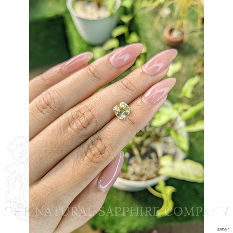 2.02 Ct. Yellow Sapphire from Ceylon (Sri Lanka)