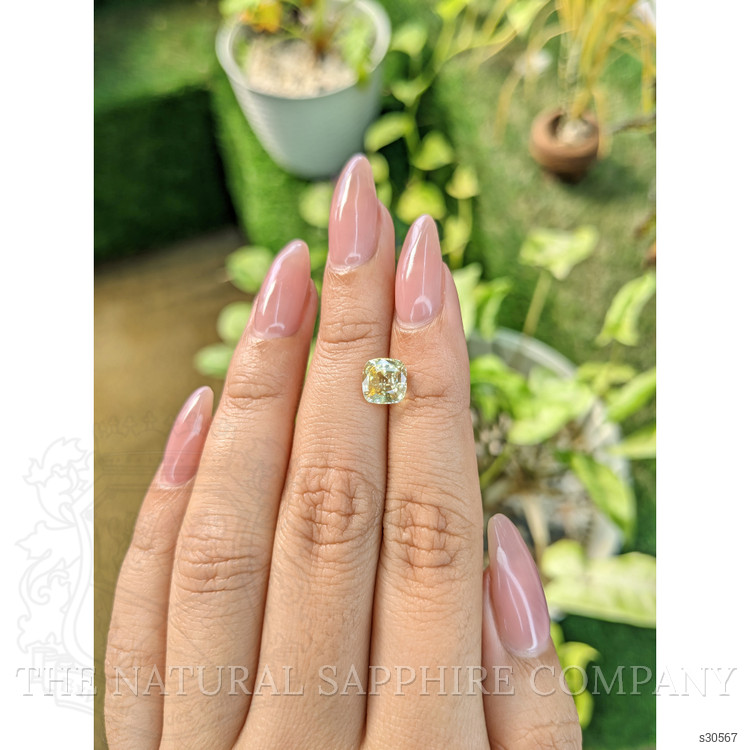 2.02 Ct. Yellow Sapphire from Ceylon (Sri Lanka)