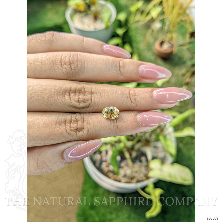 2.26 Ct. Yellow Sapphire from Ceylon (Sri Lanka)