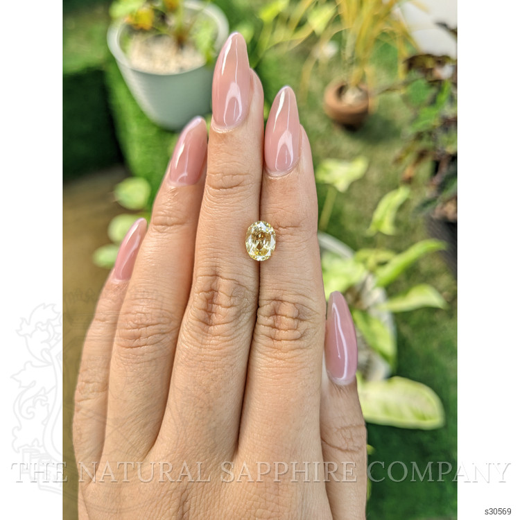 2.26 Ct. Yellow Sapphire from Ceylon (Sri Lanka)