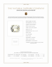 Jewelry Scan Report