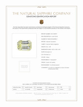 Jewelry Scan Report