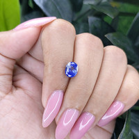 1.92 Ct. Bi Color / Parti Sapphire from Tanzania Life Style