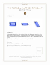 0.91 Ct. Blue Sapphire from Ceylon (Sri Lanka) Appraisal
