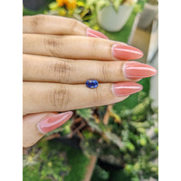 1.48 Ct. Blue Sapphire from Ceylon (Sri Lanka) Life Style