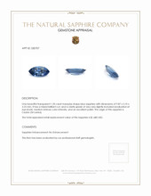 1.20 Ct. Blue Sapphire from Ceylon (Sri Lanka) Appraisal