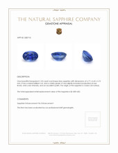 1.03 Ct. Blue Sapphire from Ceylon (Sri Lanka) Appraisal