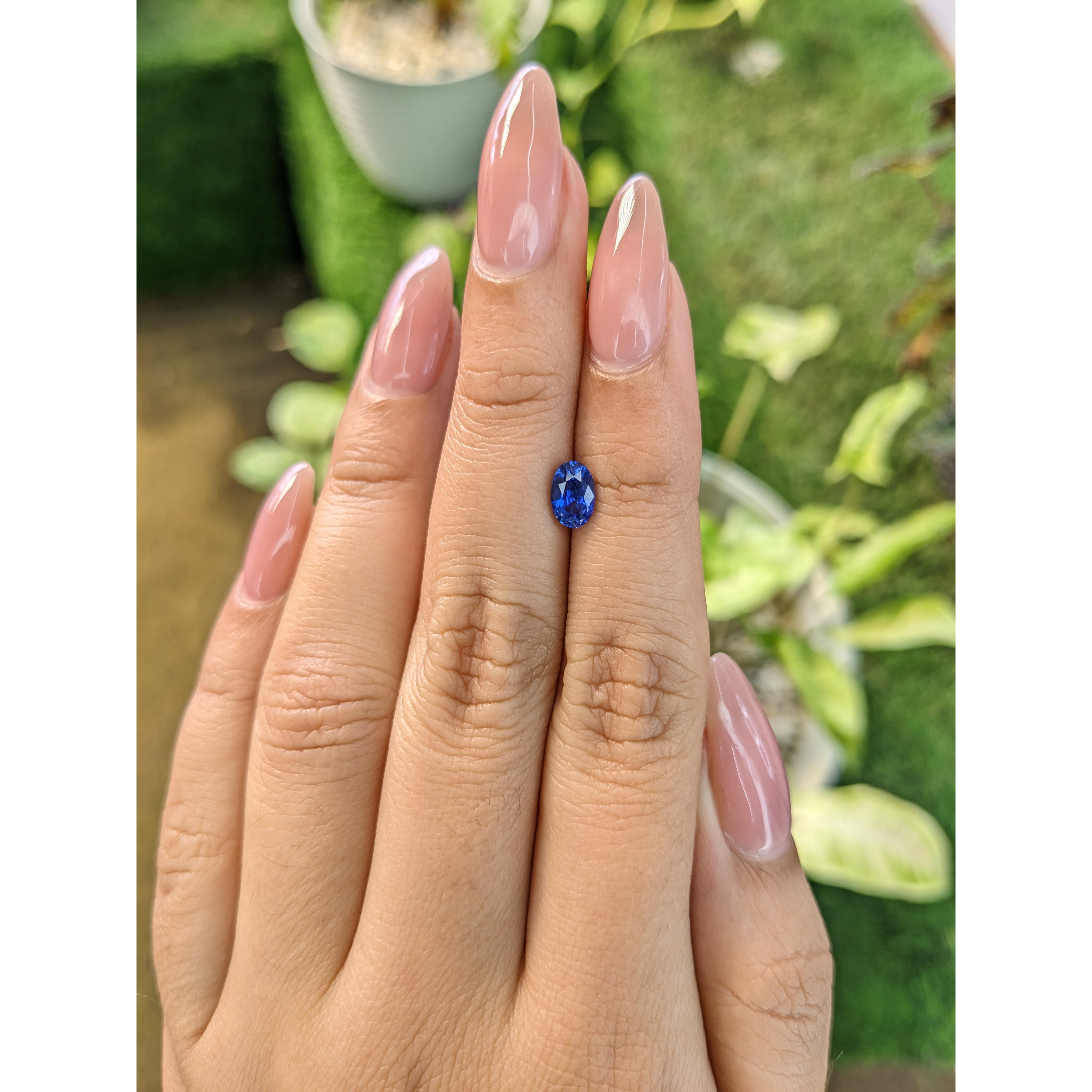 Loose Blue Sapphire - Oval 1.03 Ct. - #S30715 | The Natural