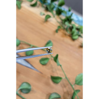 0.78 Ct. Bi Color Sapphire from Montana Life Style