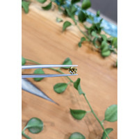 1.05 Ct. Bi Color Sapphire from Montana Life Style