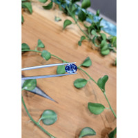 4.77 Ct. Blue Sapphire from Ceylon (Sri Lanka) Life Style