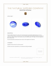 12.58 Ct. Blue Star Sapphire from Burma (Myanmar) Appraisal