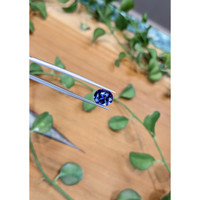 4.56 Ct. Blue Sapphire from Ceylon (Sri Lanka) Life Style