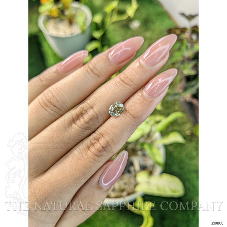 1.74 Ct. Greenish Yellow Sapphire from Ceylon (Sri Lanka)