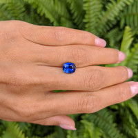 3.10 Ct. Blue Sapphire from Ceylon (Sri Lanka) Life Style