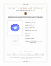 Jewelry Scan Report