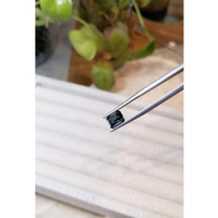 2.74 Ct. Color Change Sapphire from Ceylon (Sri Lanka) Life Style