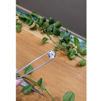 15.05 Ct. White Sapphire from Ceylon (Sri Lanka) Life Style