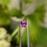 1.72 Ct. Purplish Pink Sapphire from Madagascar Life Style