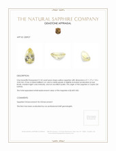 3.18 Ct. Yellow Sapphire from Ceylon (Sri Lanka) Appraisal