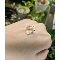 12.56 Ct. Yellow Sapphire from Ceylon (Sri Lanka) Life Style