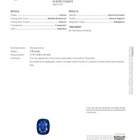 7.90 Ct. Blue Sapphire from Madagascar Scan Report