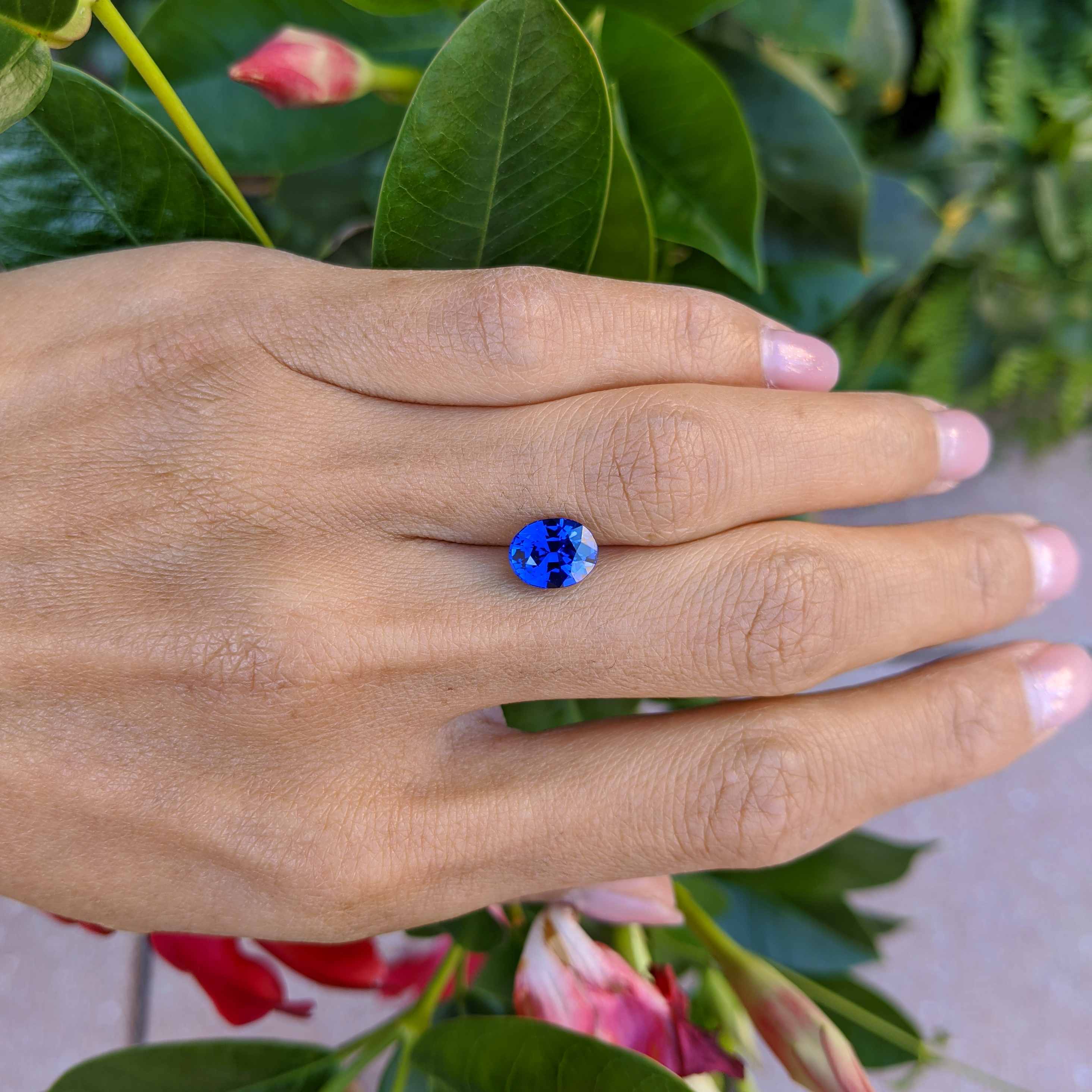Loose Blue Sapphire - Oval 2.67 Ct. - #S30994 | The Natural