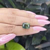 7.00 Ct. Bi Color Sapphire from Madagascar Life Style