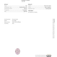 Jewelry Scan Report