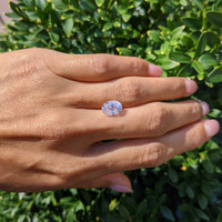 3.71 Ct. Pink Sapphire from Ceylon (Sri Lanka) Life Style