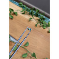 0.86 Ct. Bluish Green Sapphire from Montana Life Style