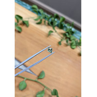 0.88 Ct. Green Sapphire from Montana Life Style