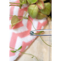 0.95 Ct. Bluish Green Sapphire from Montana Life Style