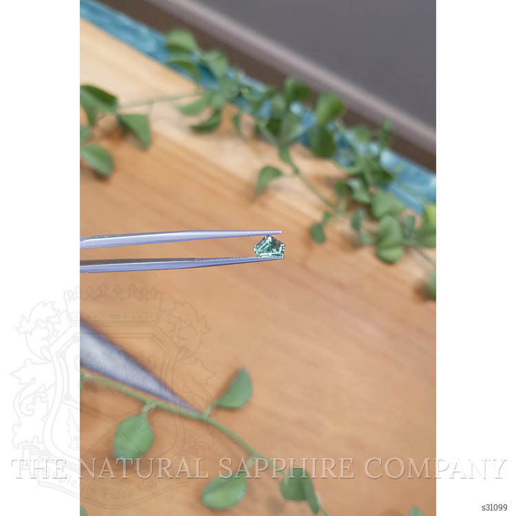 0.96 Ct. Green Sapphire from Montana