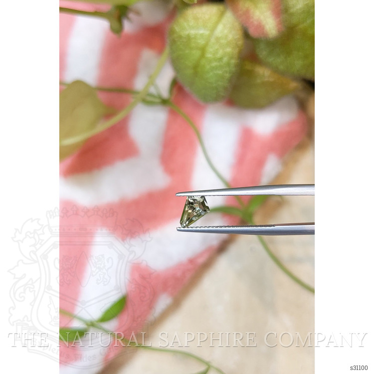 0.99 Ct. Yellowish Green Sapphire from Montana