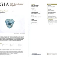 Jewelry Scan Report