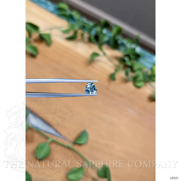 1.00 Ct. Greenish Blue Sapphire from Montana