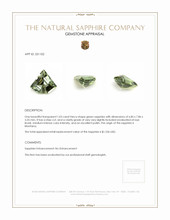1.03 Ct. Green Sapphire from Montana Appraisal