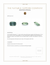 1.17 Ct. Bluish Green Sapphire from Ceylon (Sri Lanka) Appraisal