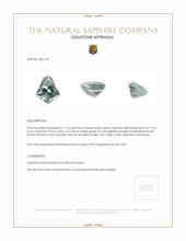 1.13 Ct. Bluish Green Sapphire from Montana Appraisal