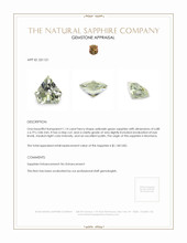 1.14 Ct. Yellowish Green Sapphire from Montana Appraisal
