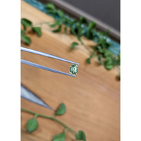 1.15 Ct. Green Sapphire from Montana Life Style